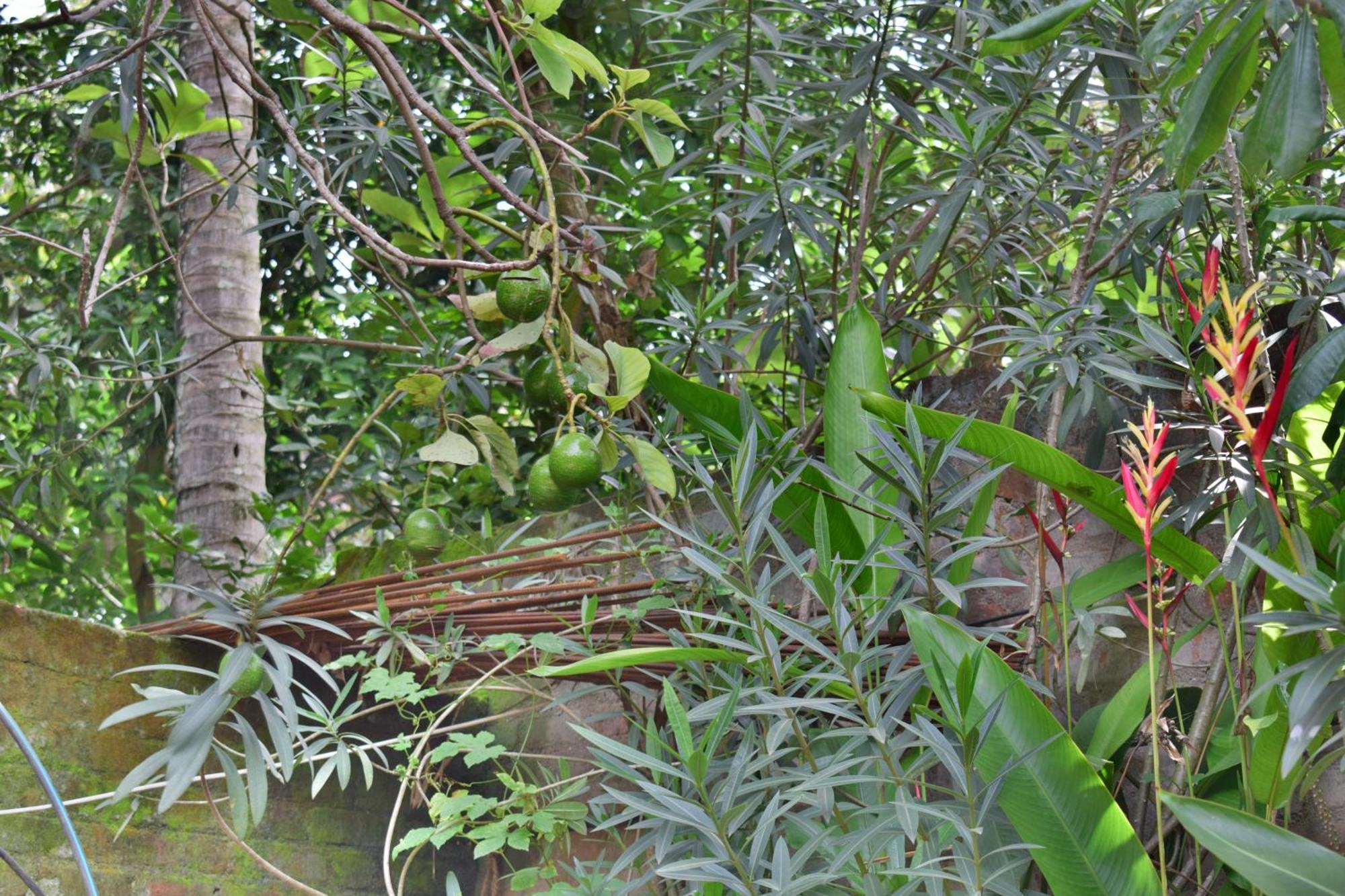 Silent Waters Resorts Yelagiri Exterior foto